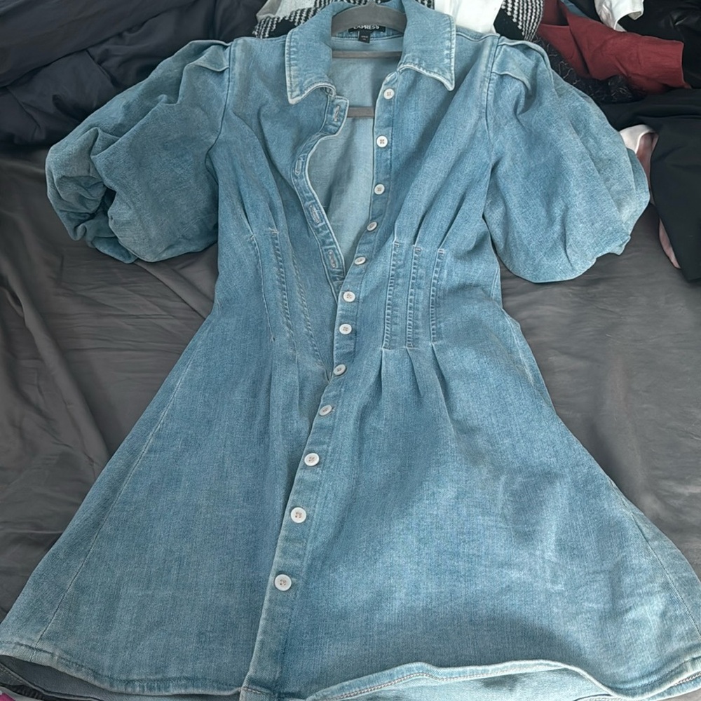 Express - Puff Sleeve Corset Denim Dress
